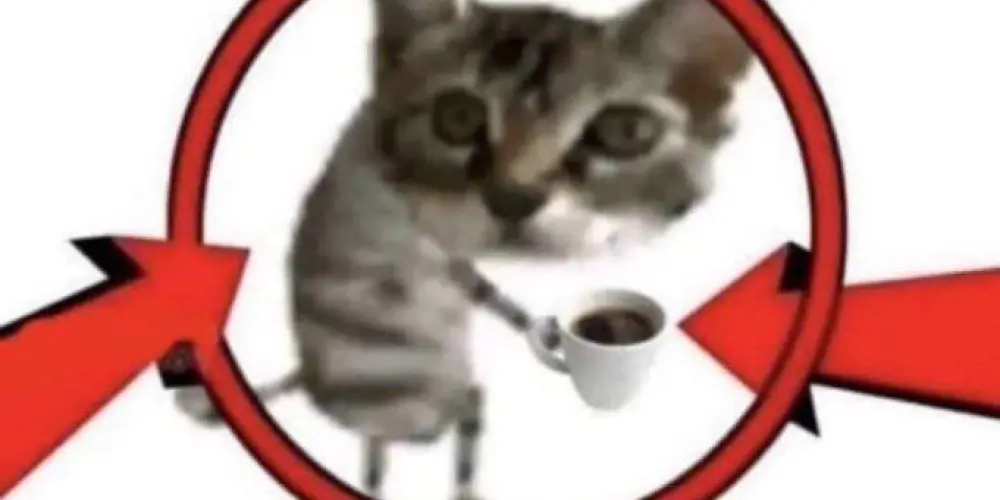 Imagem do grupo de WhatsApp BAR DOS DESOCUPADOS