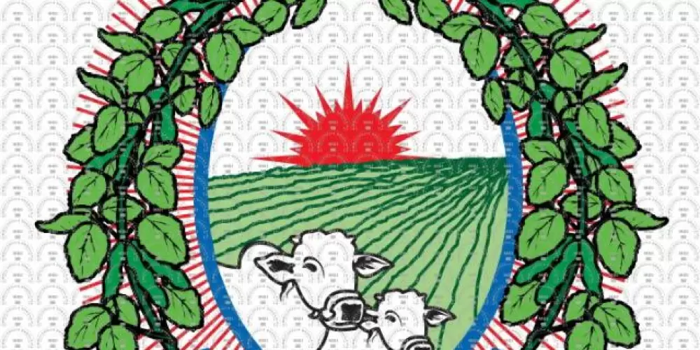 Imagem do grupo de WhatsApp BARREIRAS ON 🔰