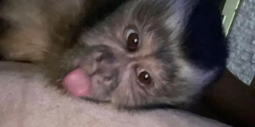 Imagem do grupo de WhatsApp barzinho da esquina!😇🔥