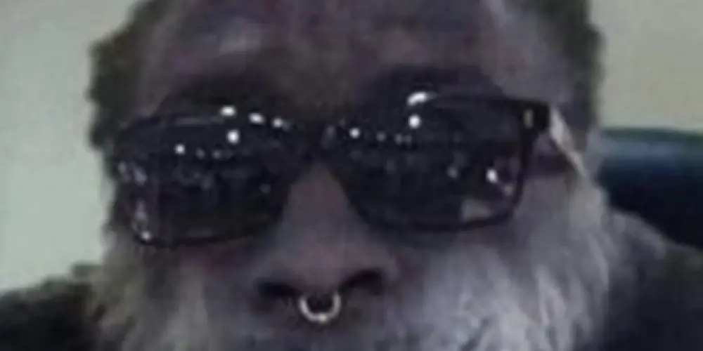 Imagem do grupo de WhatsApp BASE DO CAPS