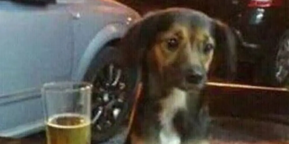 Imagem do grupo de WhatsApp Bataclã News