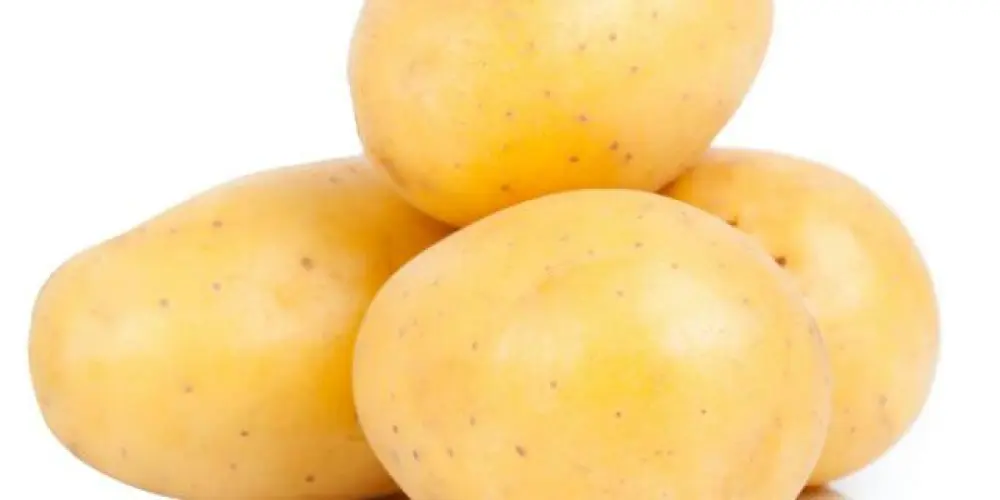 Imagem do grupo de WhatsApp BATATA 🥔