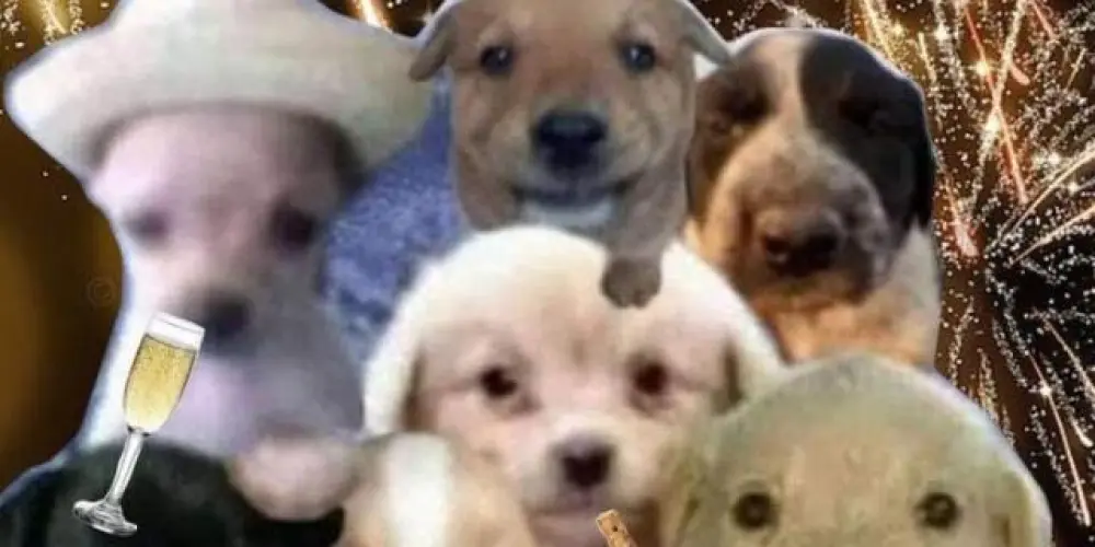 Imagem do grupo de WhatsApp BATATA ESPERMATOZOIDIFICADA LACRADA