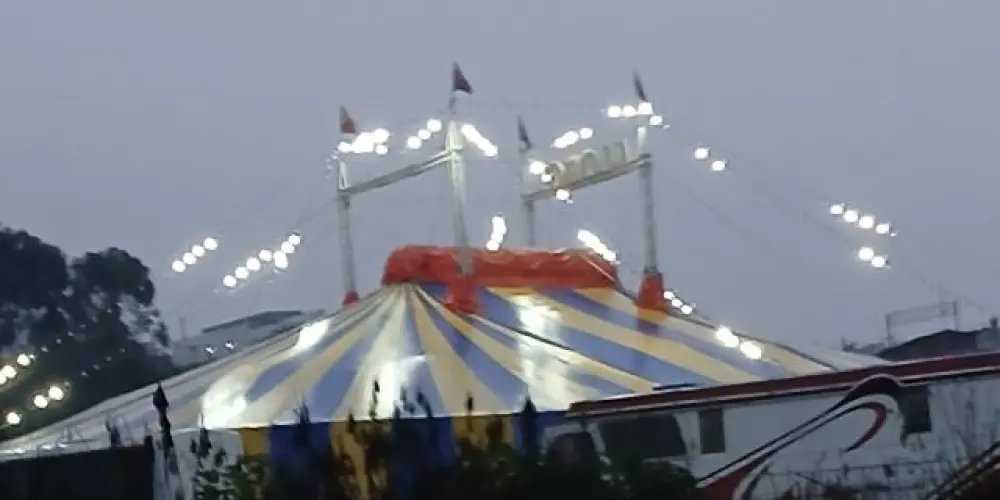 Imagem do grupo de WhatsApp ⚡BATE-PAPO〽️...............