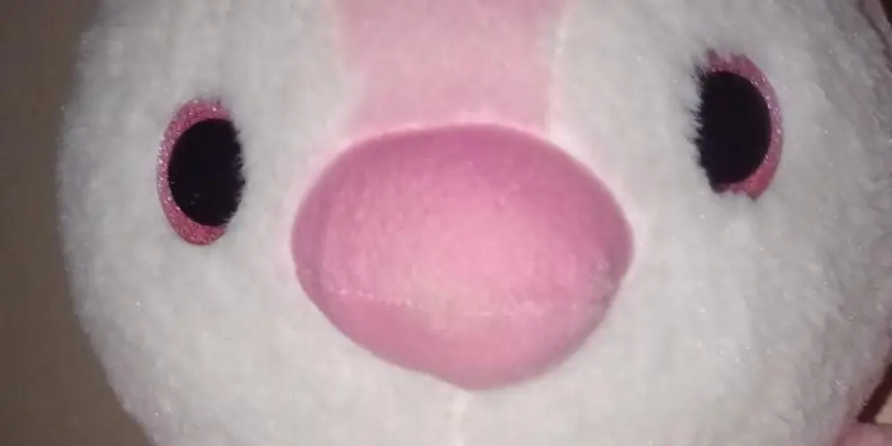 Imagem do grupo de WhatsApp Bate papo