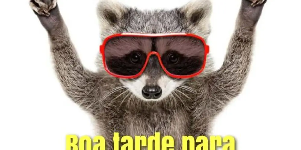 Imagem do grupo de WhatsApp Bate-papo de amigos