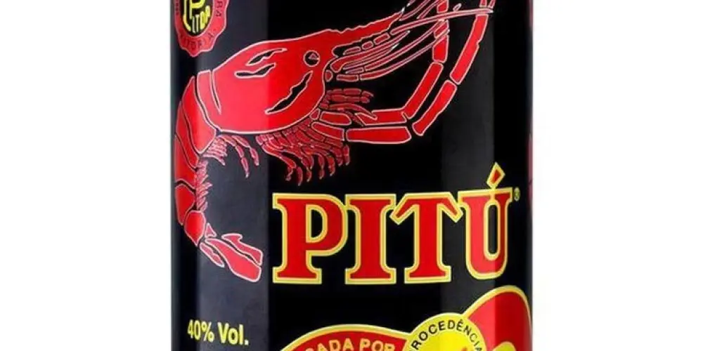 Imagem do grupo de WhatsApp Bbs pitú