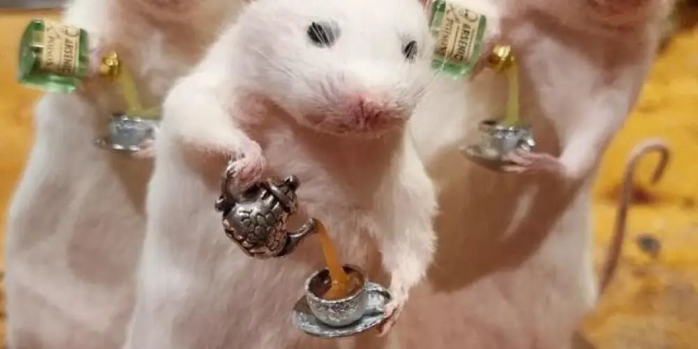 Imagem do grupo de WhatsApp Bebelos e Bebelas