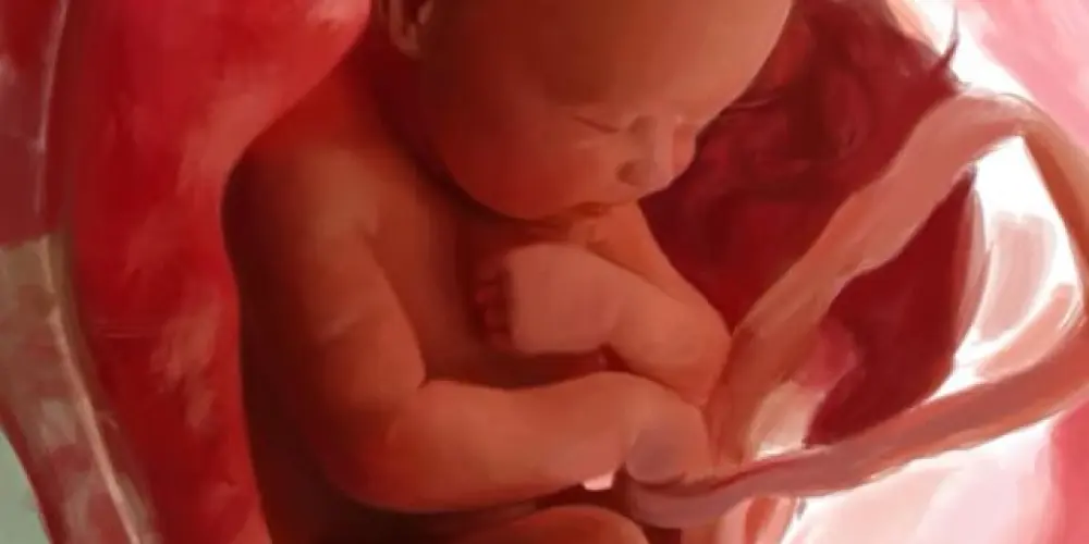 Imagem do grupo de WhatsApp Bebês no Forninho - Setembro