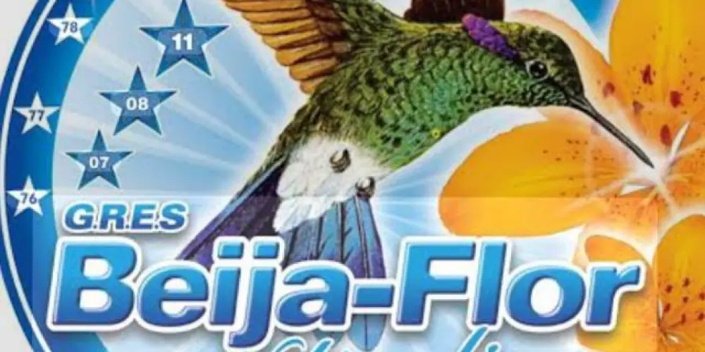 Imagem do grupo de WhatsApp Beija Flor
