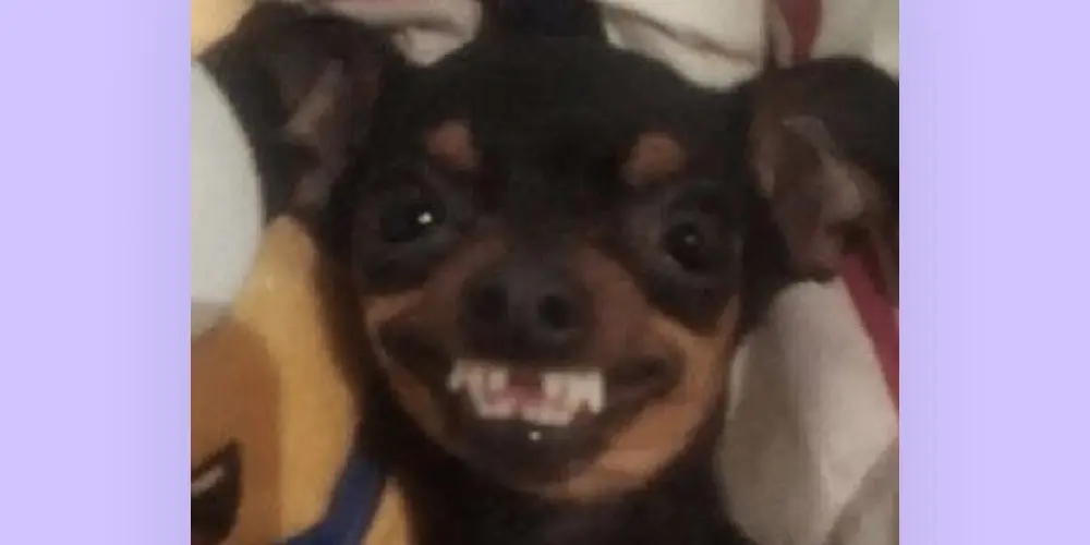 Imagem do grupo de WhatsApp Best friends