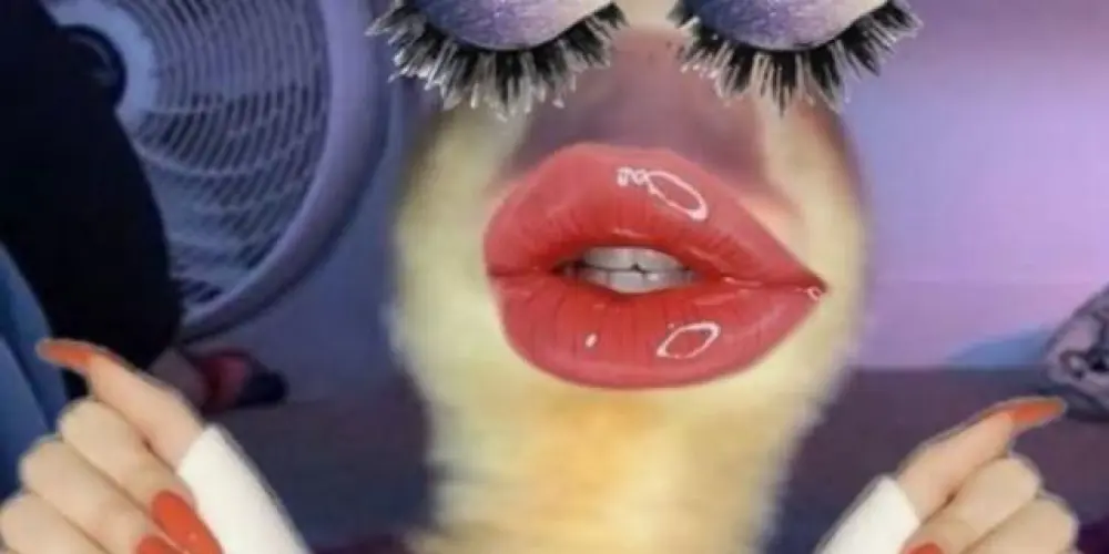 Imagem do grupo de WhatsApp Best Friends