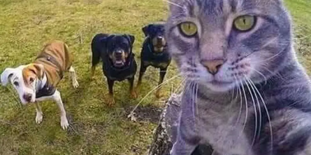 Imagem do grupo de WhatsApp Best Friends Forever🫶🏻❤️