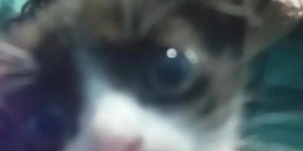 Imagem do grupo de WhatsApp Best frinds