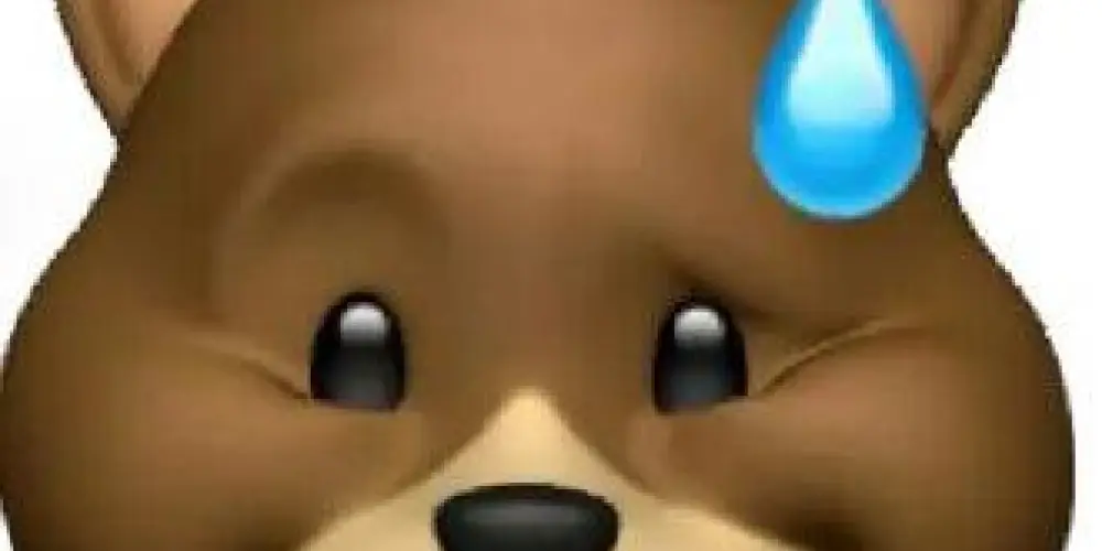 Imagem do grupo de WhatsApp Bests da resenha 🤡🤣