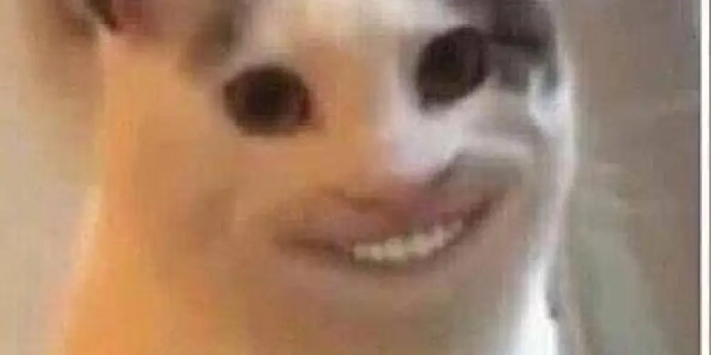 Imagem do grupo de WhatsApp Bestzinhos 😁