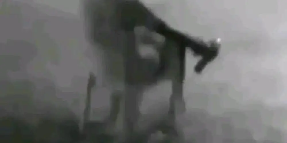 Imagem do grupo de WhatsApp betrayal