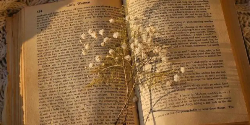 Imagem do grupo de WhatsApp ✝️ Biblioteca Cristã ✝️