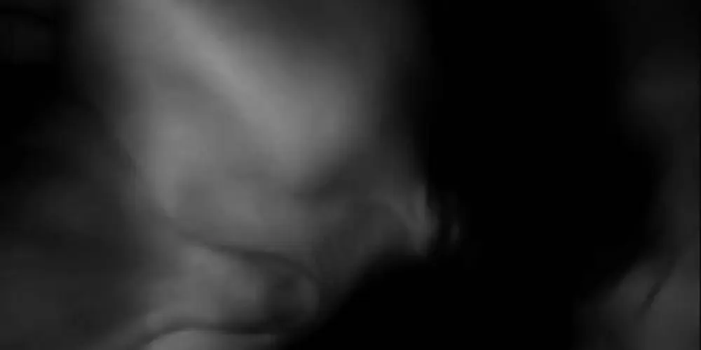 Imagem do grupo de WhatsApp Biblioteca da meia noite 🌖✍🏻