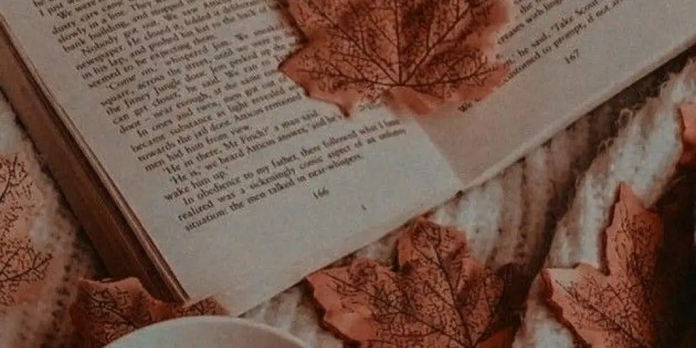 Imagem do grupo de WhatsApp Biblioteca das divas