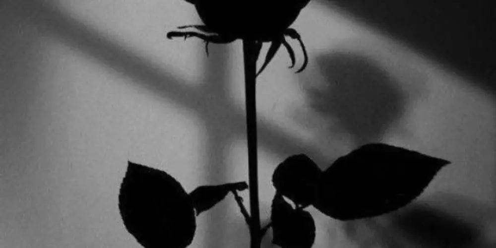 Imagem do grupo de WhatsApp Biblioteca de livros dark