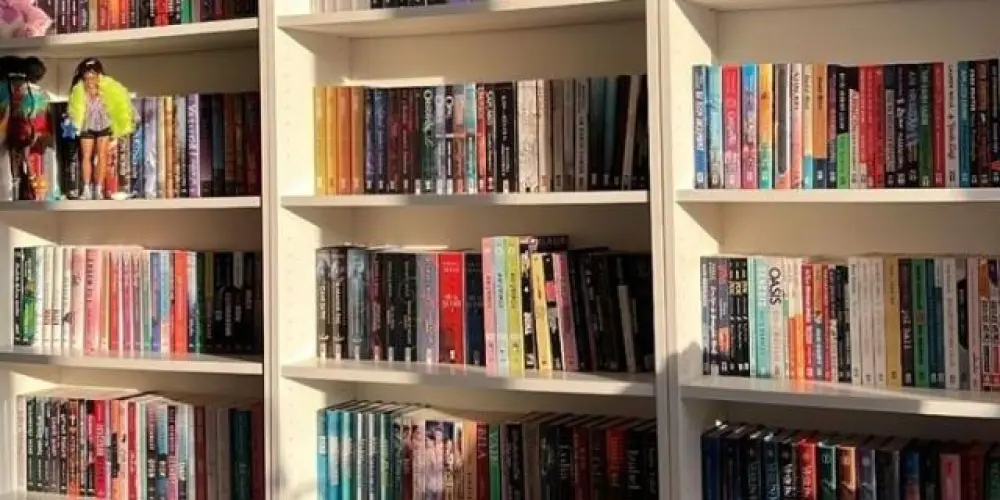 Imagem do grupo de WhatsApp Biblioteca | Lucrativa ensino