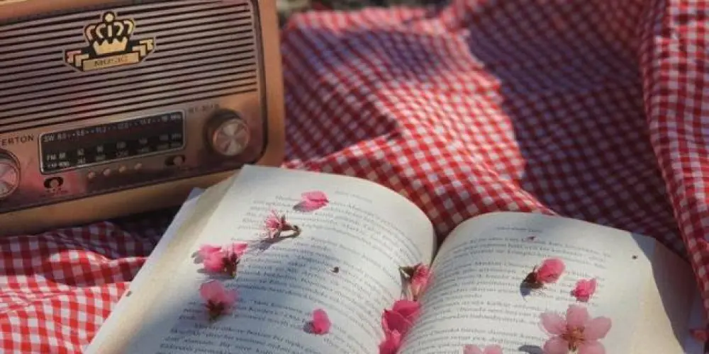 Imagem do grupo de WhatsApp 📚 Biblioteca virtual 01 📚