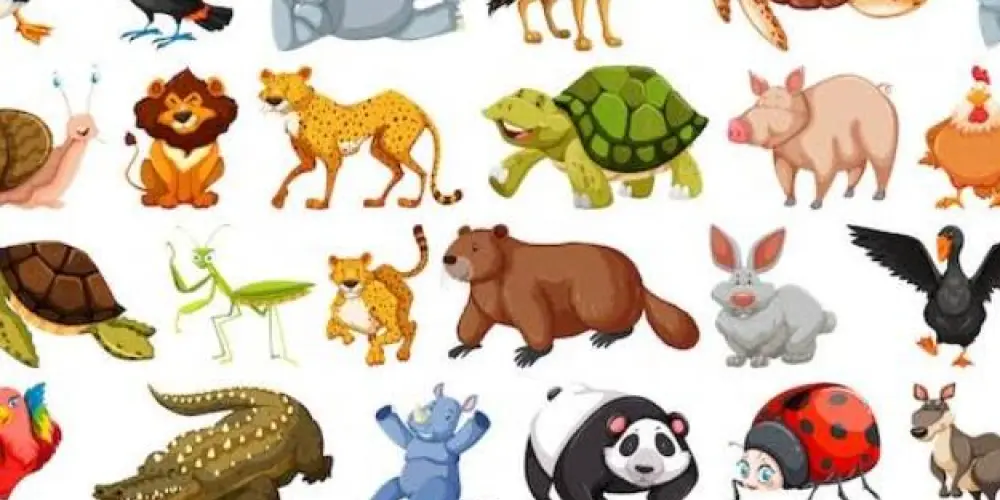 Imagem do grupo de WhatsApp Bichinhos da sorte 🐱🐯🙉🐴🦋