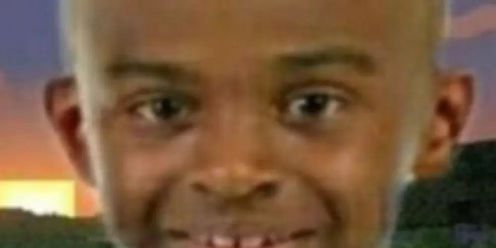 Imagem do grupo de WhatsApp Bichos da fauna