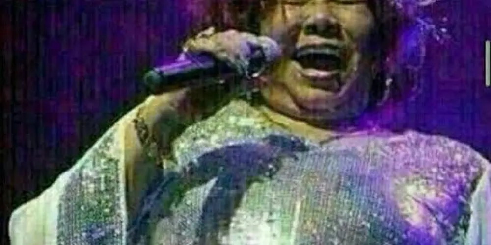 Imagem do grupo de WhatsApp Bichos do Mato!