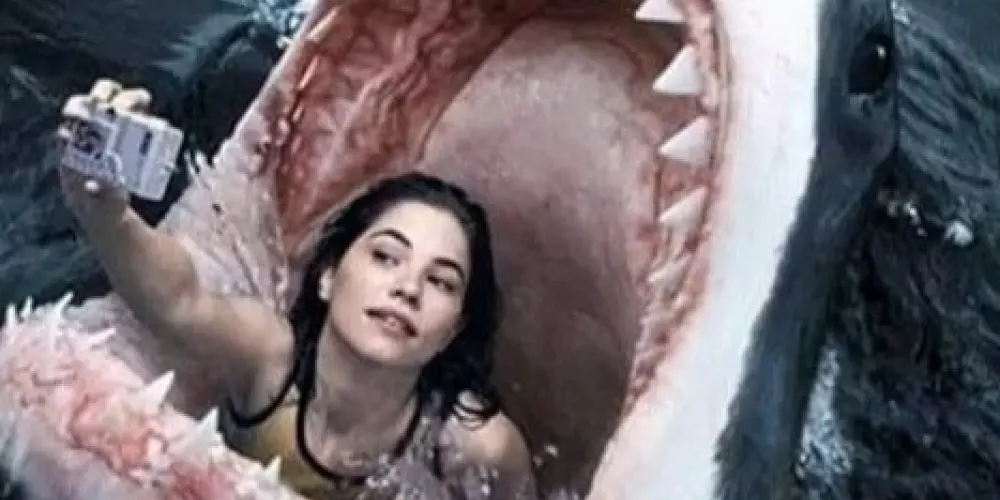 Imagem do grupo de WhatsApp Bichos do Mato