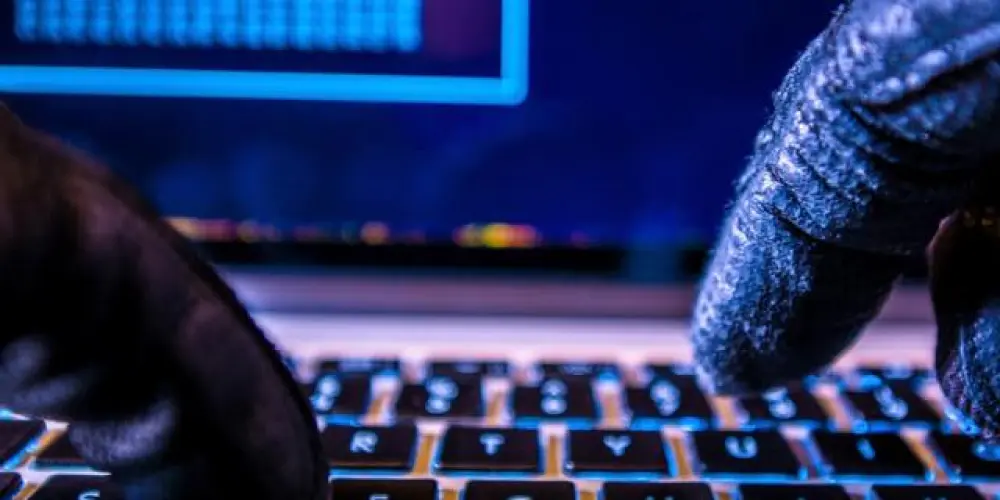 Imagem do grupo de WhatsApp BIG BASS_TROPA DO 7