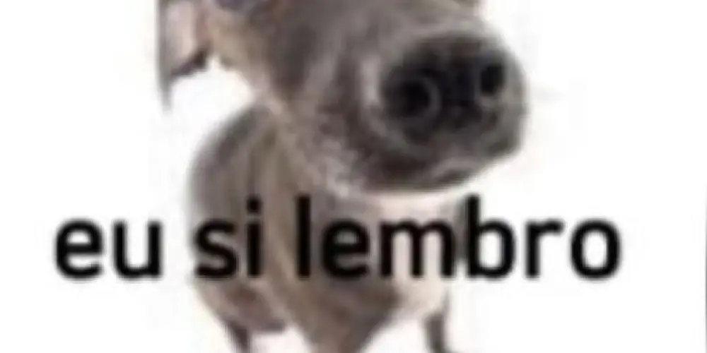 Imagem do grupo de WhatsApp Bila billu e tetéia