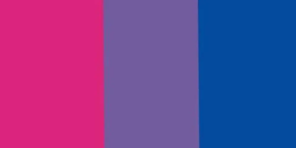 Imagem do grupo de WhatsApp Bissexuais👑