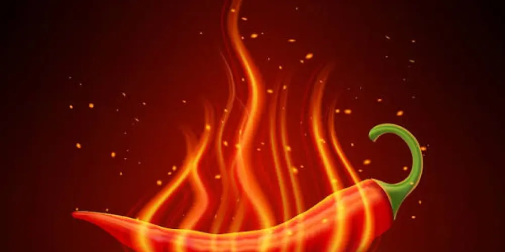 Imagem do grupo de WhatsApp Bixes amizade e romance