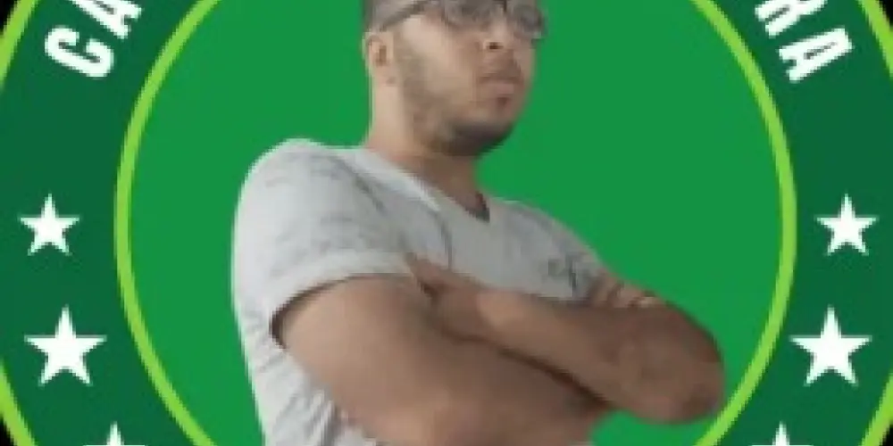 Imagem do grupo de WhatsApp Bizerra Negócios