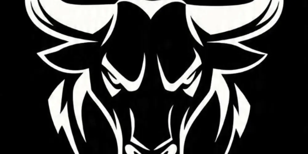 Imagem do grupo de WhatsApp Black bull's 🐂