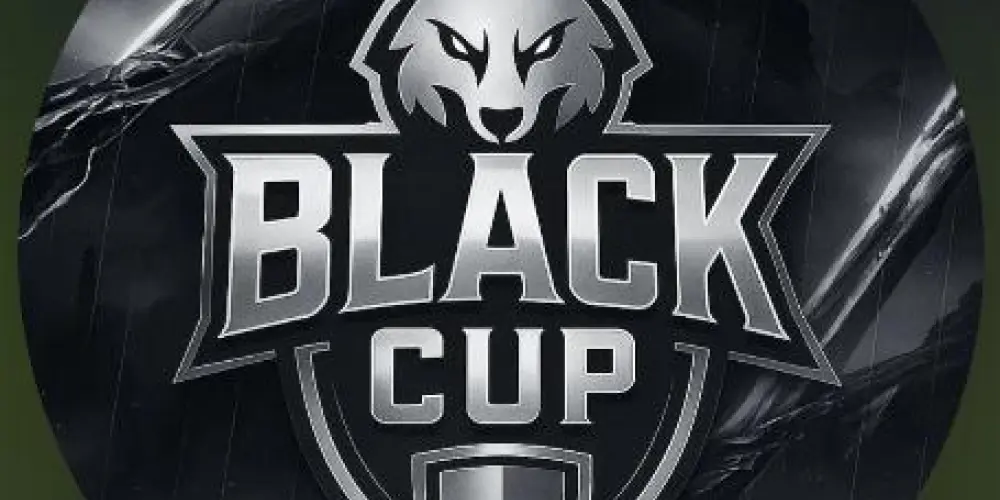 Imagem do grupo de WhatsApp BLACK CUP