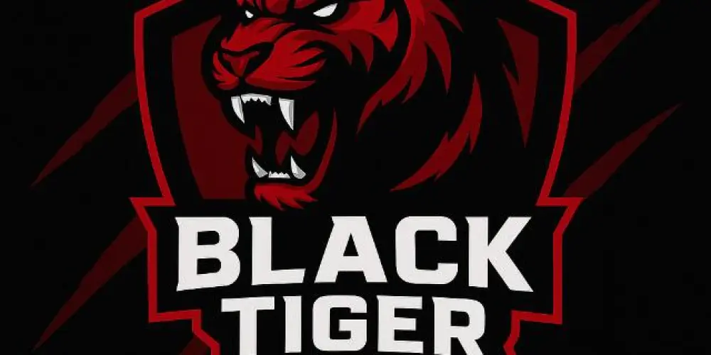 Imagem do grupo de WhatsApp 🐅 BLACK TIGER⁴ | REC