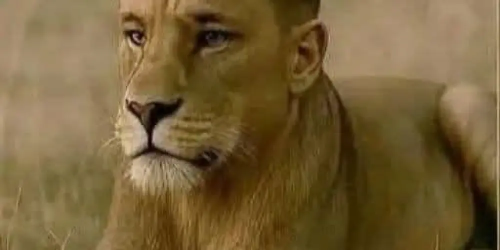 Imagem do grupo de WhatsApp blood