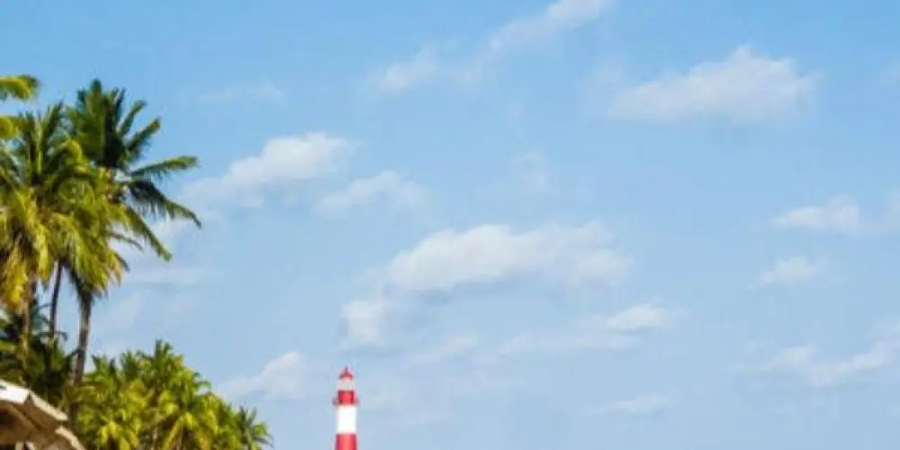 Imagem do grupo de WhatsApp BLOQUINHO SALVADOR 1.0