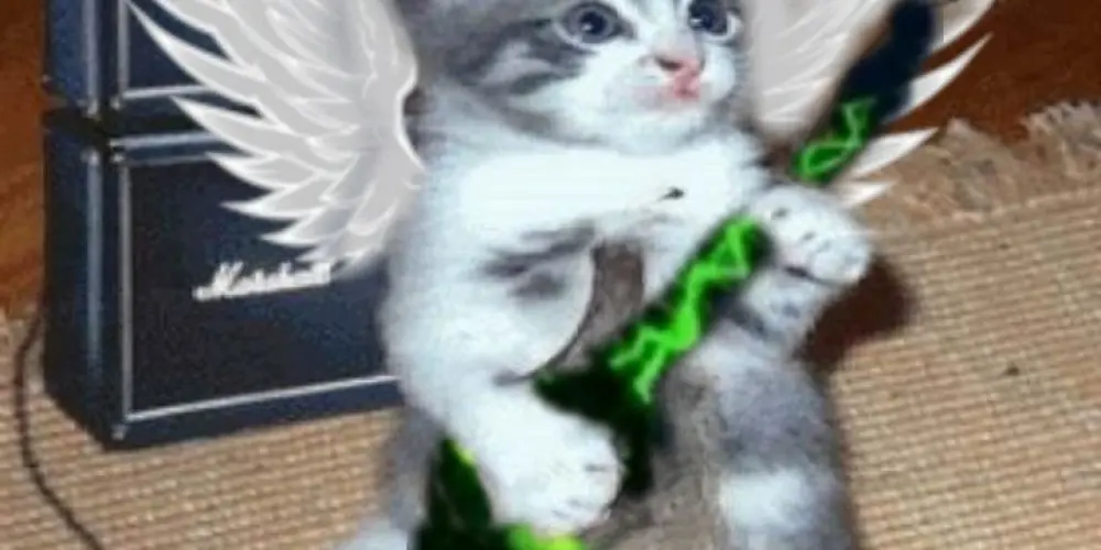 Imagem do grupo de WhatsApp blox fruits