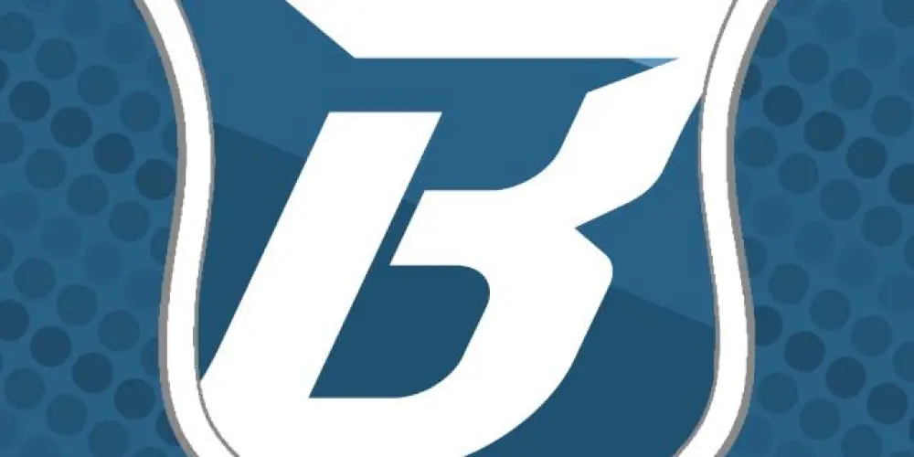 Imagem do grupo de WhatsApp 🟦BLUE's🇧🇷