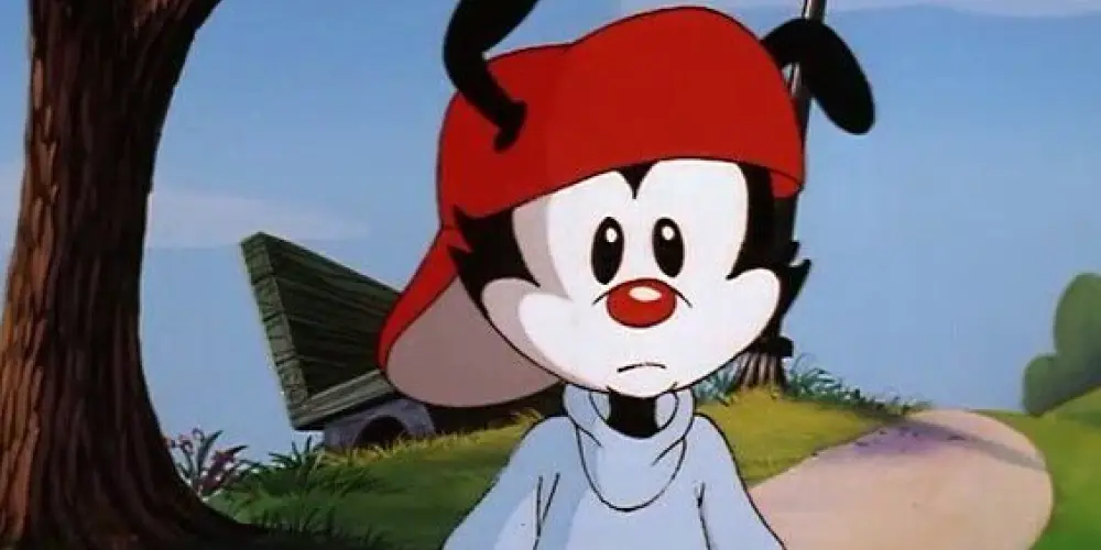 Imagem do grupo de WhatsApp Blusa world