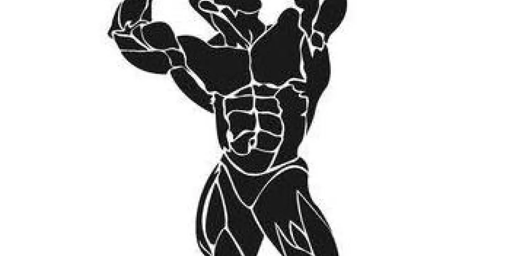 Imagem do grupo de WhatsApp Bodybuilding