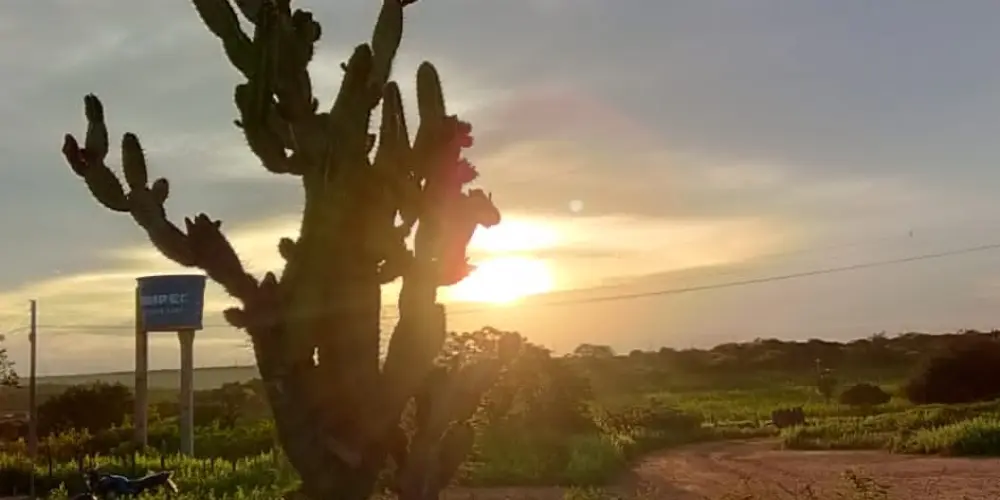 Imagem do grupo de WhatsApp Bolivia