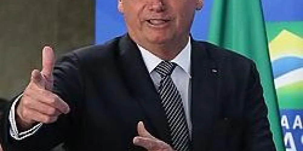 Imagem do grupo de WhatsApp BOLSONARO LIVRE