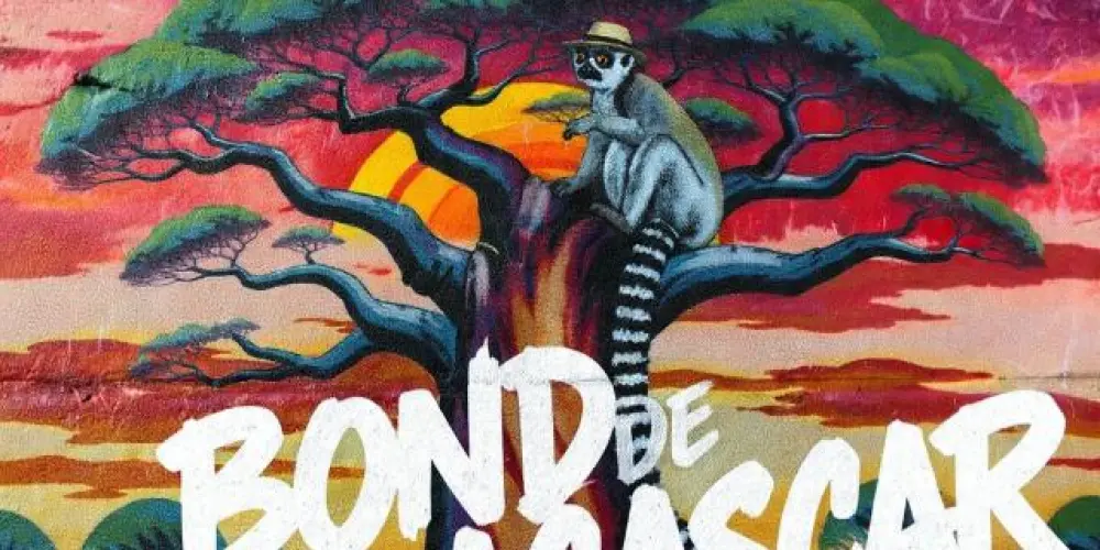 Imagem do grupo de WhatsApp Bonde de madagascar