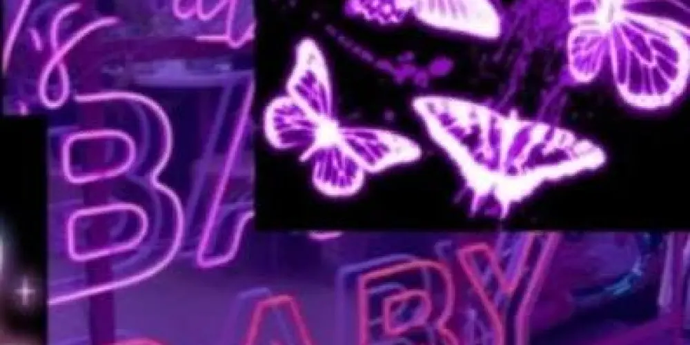 Imagem do grupo de WhatsApp Bonde do rato