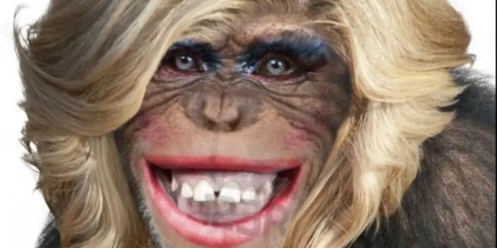Imagem do grupo de WhatsApp 🐒 Bonde dos Macacos